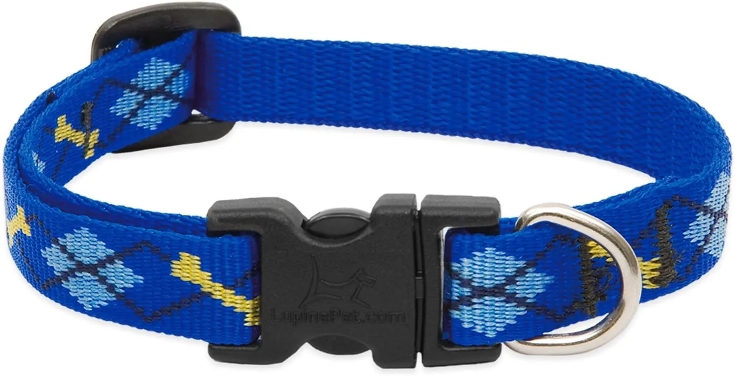1/2in Dapper Dog 6-9 Adj Collar