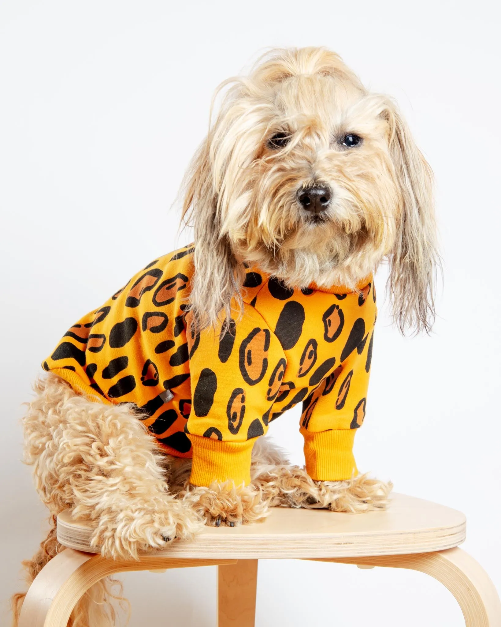 Animal Print Dog Sweatshirt in Yellow (FINAL SALE)