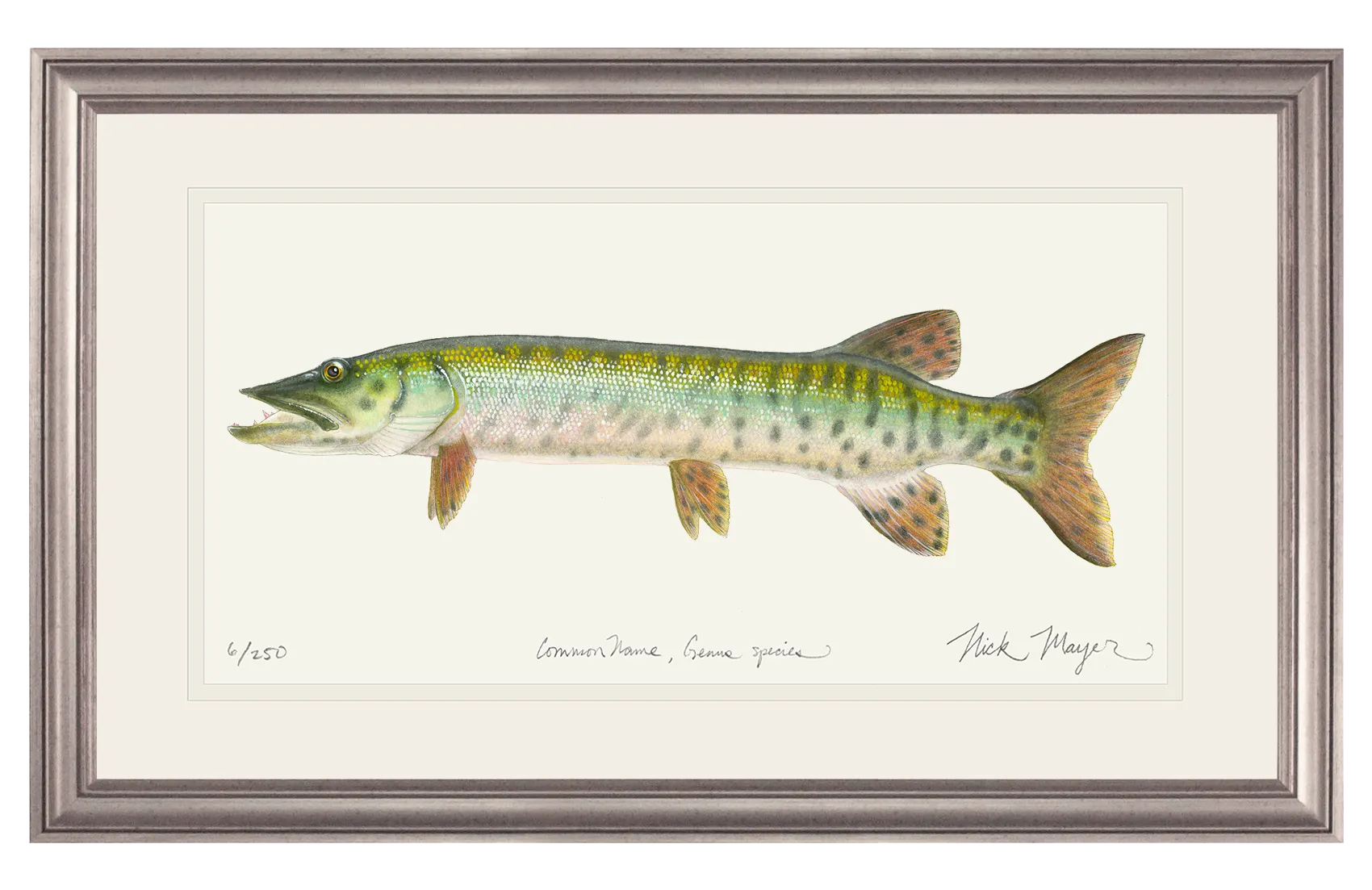 Baby Muskie Print