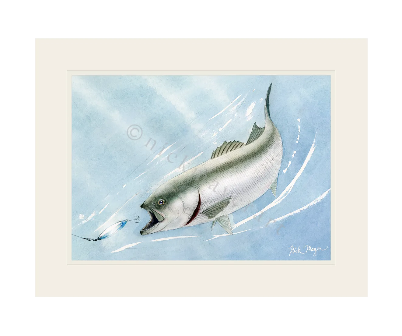 Bluefish and Kastmaster Print